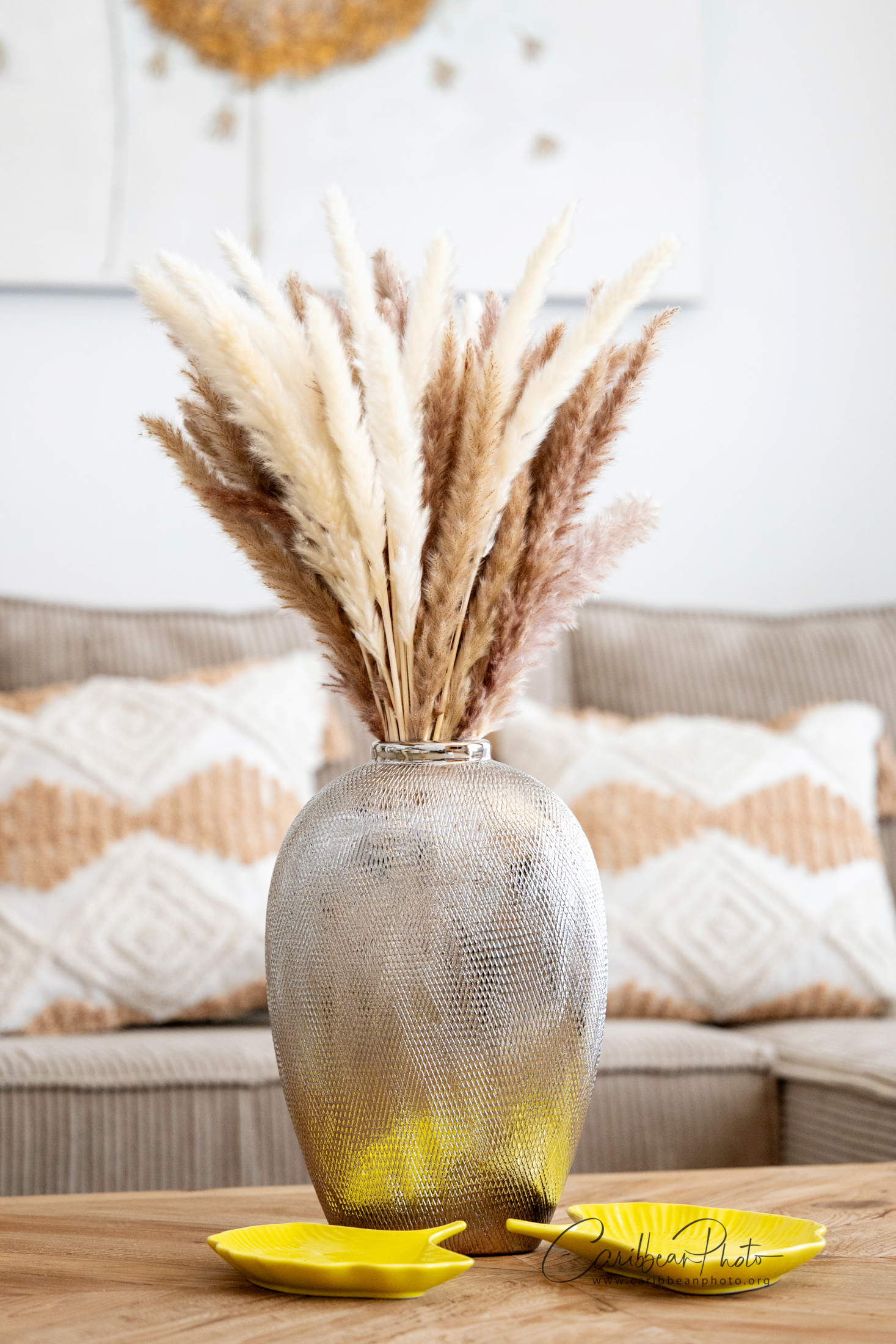 Estrella Garden Penthouse in Dominicus - natural textures - Home Now Design